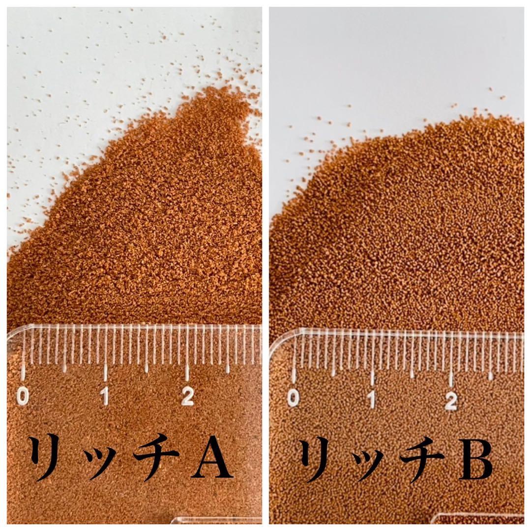 リッチA リッチB メダカ　エサ　各2Kg