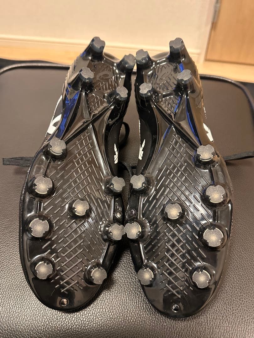 アシックス　DS LIGHT X-FLY 5 25.0㎝