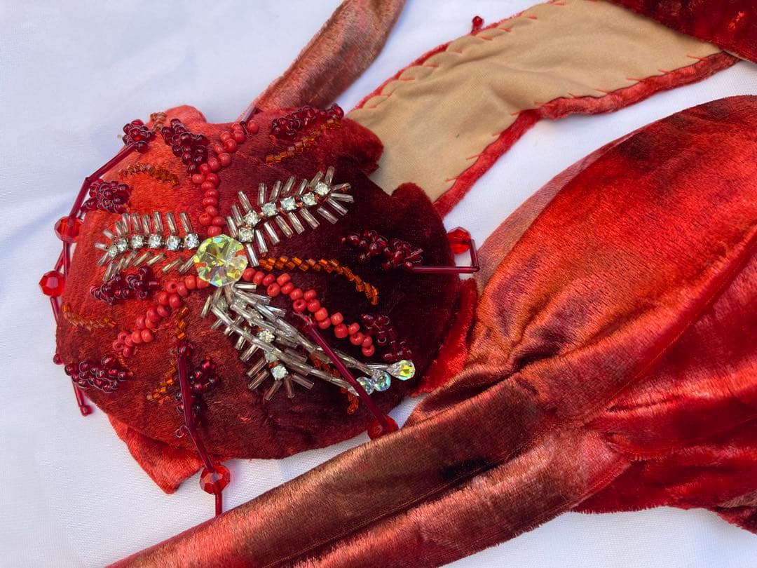 ブラジルベリーダンス セットアップ 赤紫