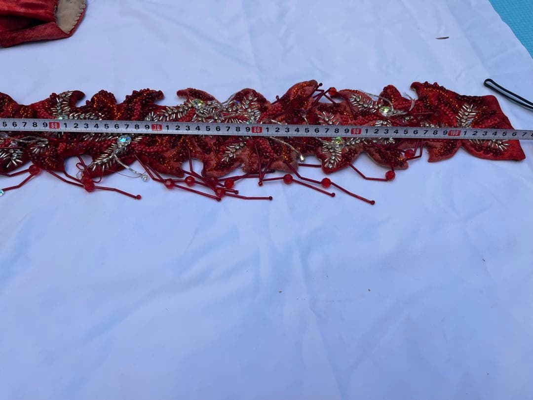 ブラジルベリーダンス セットアップ 赤紫