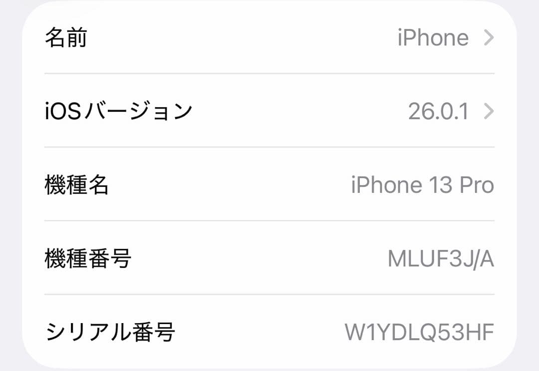 Apple iPhone 13 本体 充電ケーブル付き