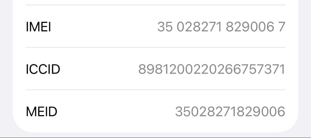 Apple iPhone 13 本体 充電ケーブル付き