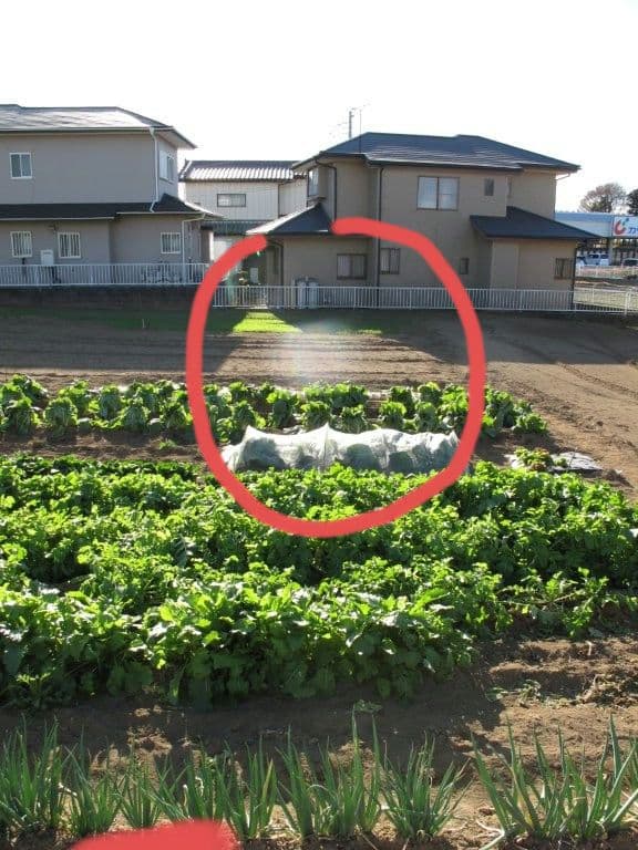 キヤノン パワーショット G-10 セット