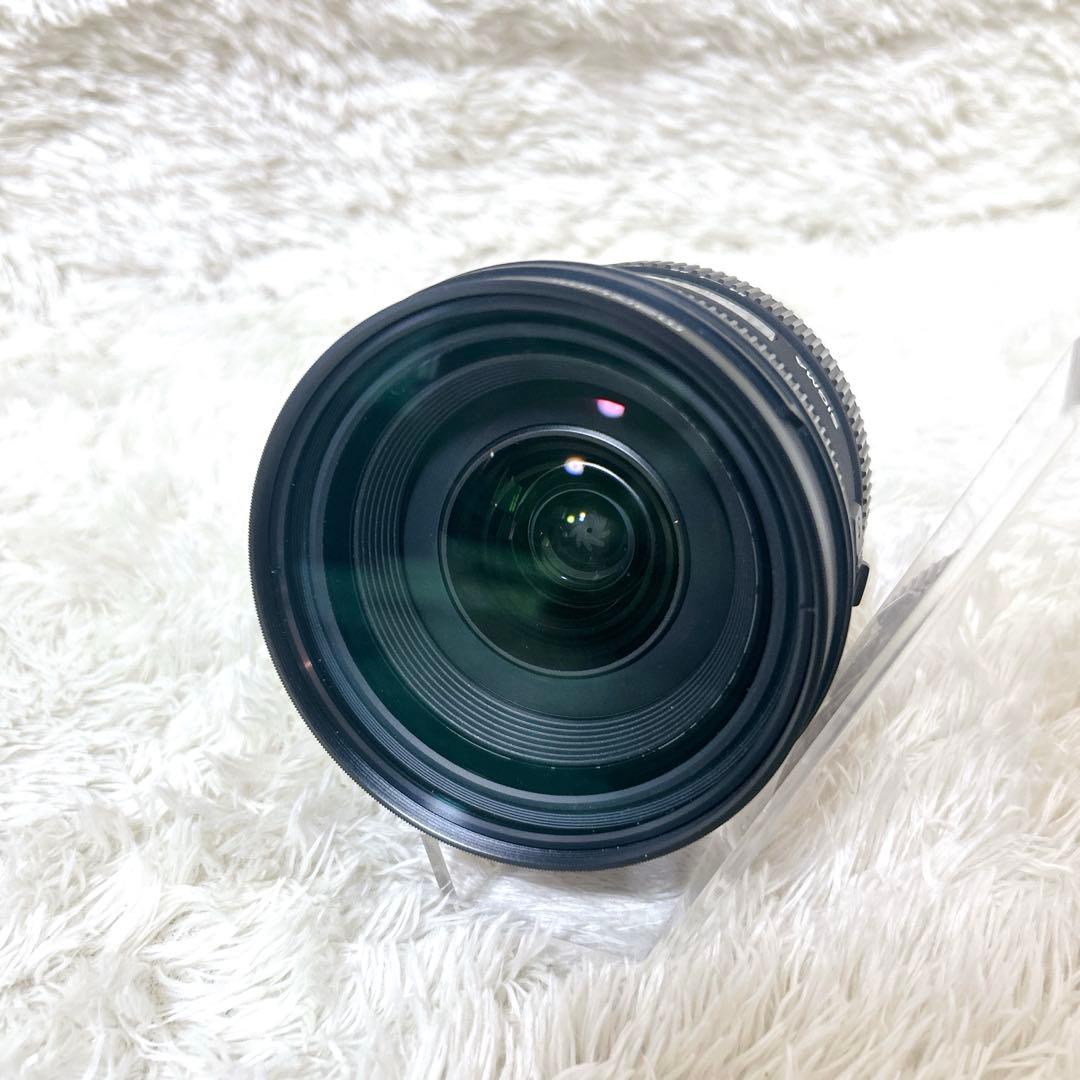 sigma 24-70mm 1:2.8 DG HSM EX IF (ニコン用)