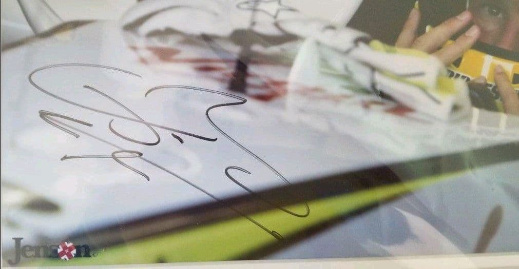 F1、直筆サイン、ジェイソンバトン、09年ワールドチャンピオン獲得記念、限定商品