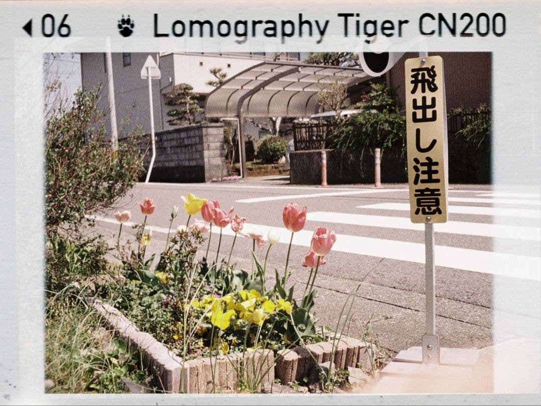 【希少セット】PENTAX auto110 ワインダー・レンズ3本付【作例あり】