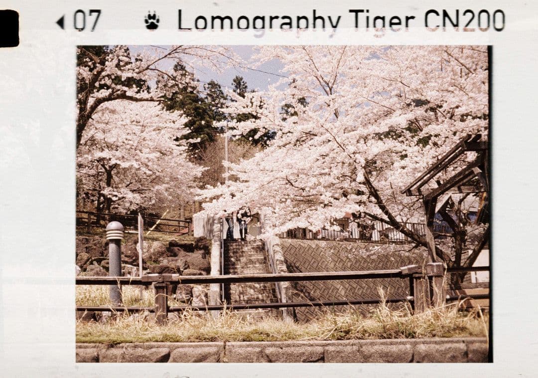 【希少セット】PENTAX auto110 ワインダー・レンズ3本付【作例あり】