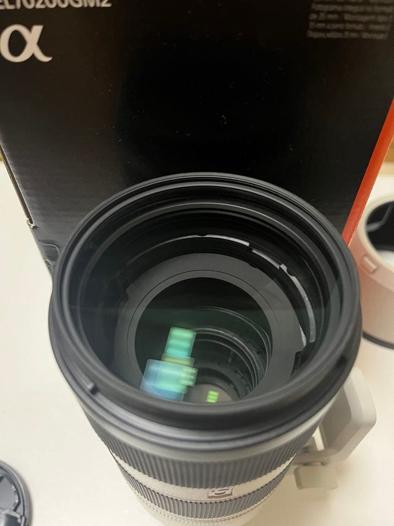 저*a様 SONY 70-200mm f2.8 GM OSS II