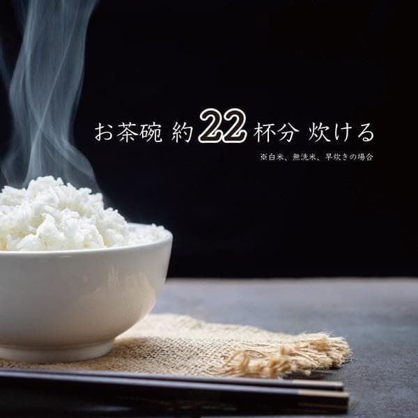 新品未開封10号炊きROOMMATE 一升炊き炊飯器 加楽炊き RM-223H