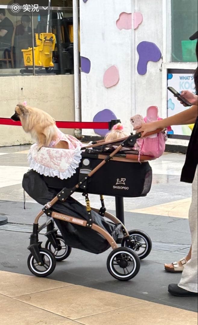 SKKOPGO ペットカート 小型犬・中型犬用 折りたたみ式　新品