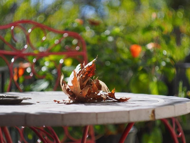 32　ヘリオス　44-2ぐるぐるボケレンズ メタル製フード付