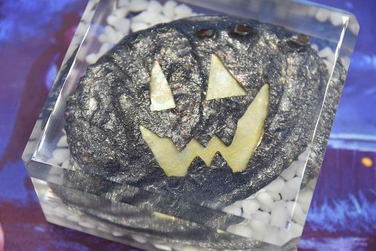 ハロウィン Jack-o'-lantern Abalone DA-11BL