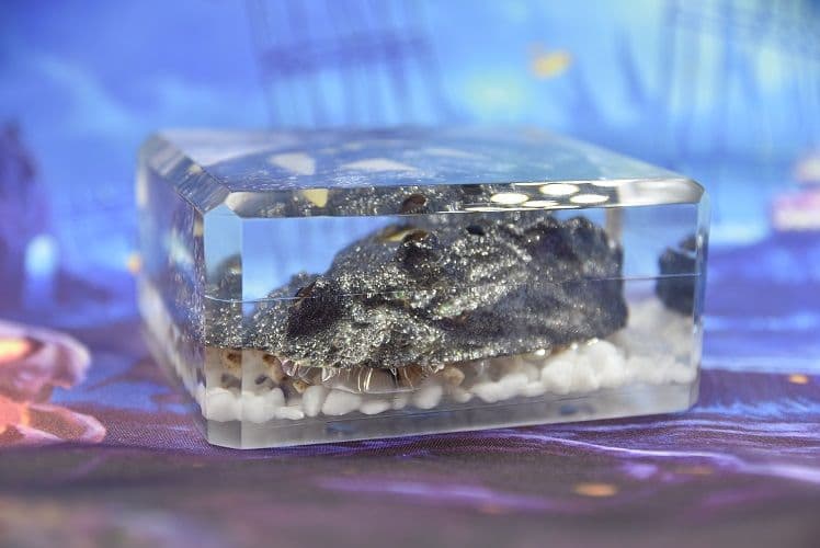 ハロウィン Jack-o'-lantern Abalone DA-11BL