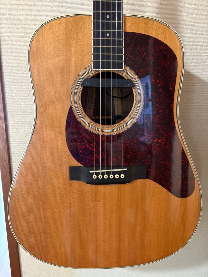Martin & Co. D-35 レスターフラット