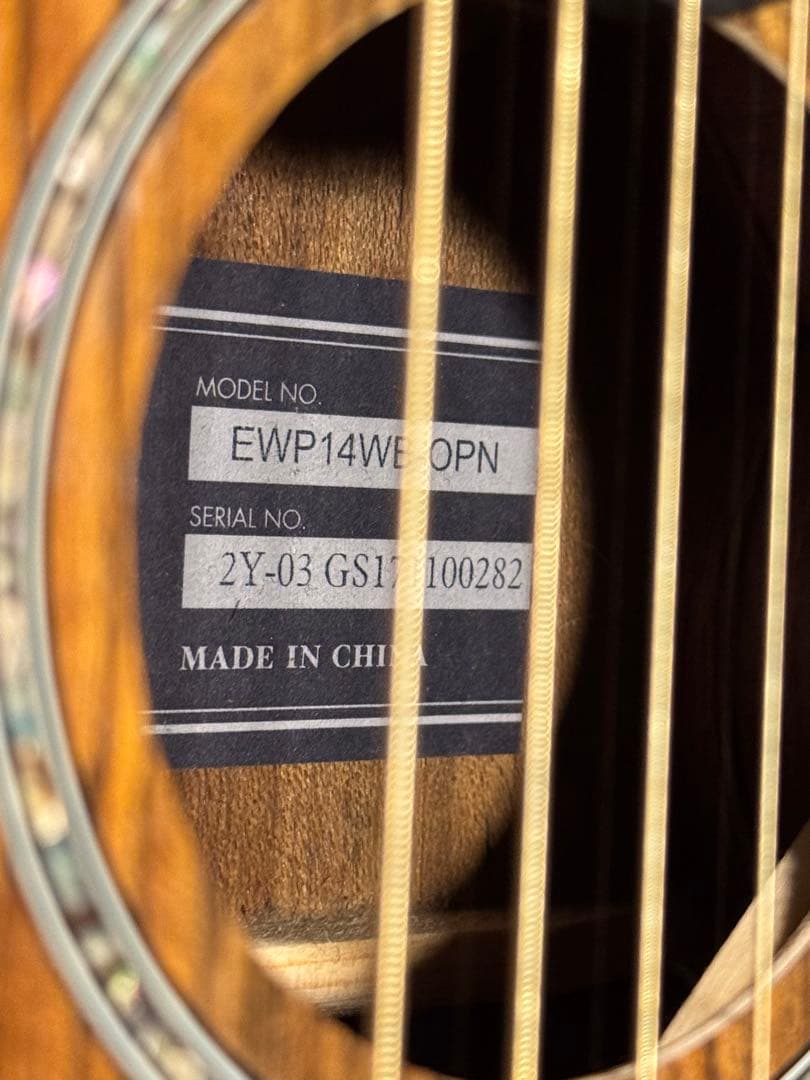 IBANEZ EWP14WB-OPN アコースティックギター