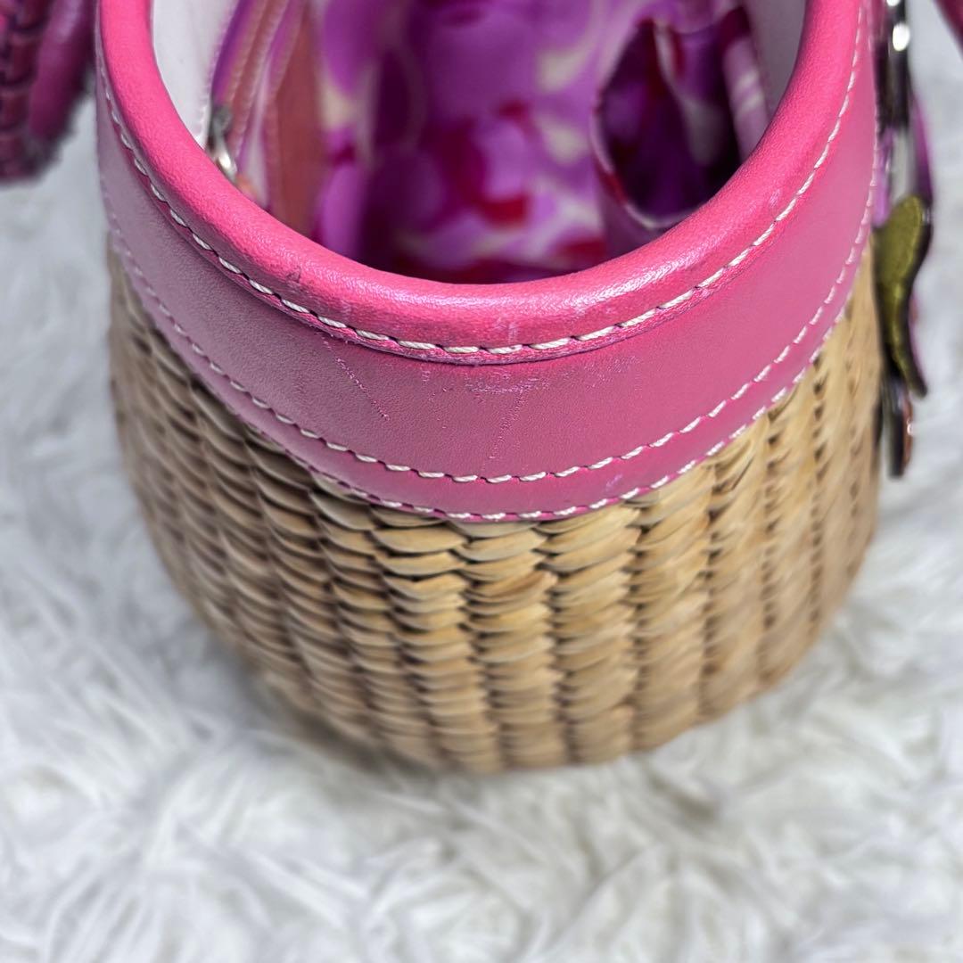 ✨美品✨ COACH カゴバッグ バタフライストロー 肩掛け 可愛い