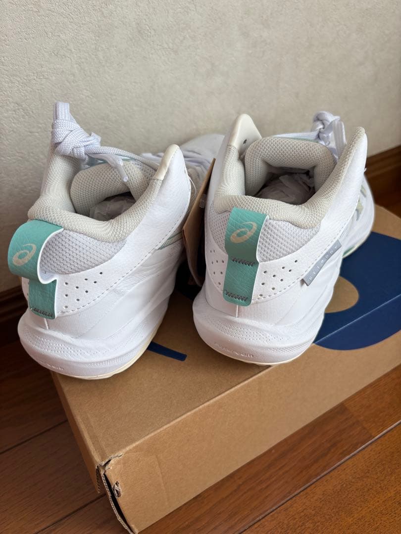 ！値下げ　バスケットボールシューズ asics ゲルフープV17