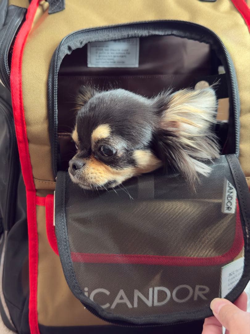 ICANDOR キャリーバッグ キャリーリュック