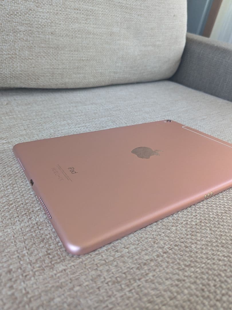 APPLE iPad Pro 9.7 256GB 本体 ケースつき