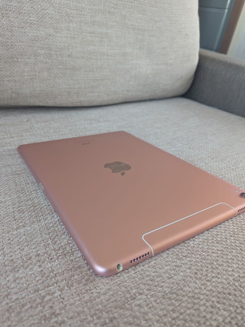 APPLE iPad Pro 9.7 256GB 本体 ケースつき