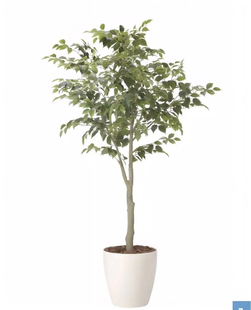 光触媒　人工観葉植物　ウォールグリーン　フェイクグリーン　フィカスツリー1.85