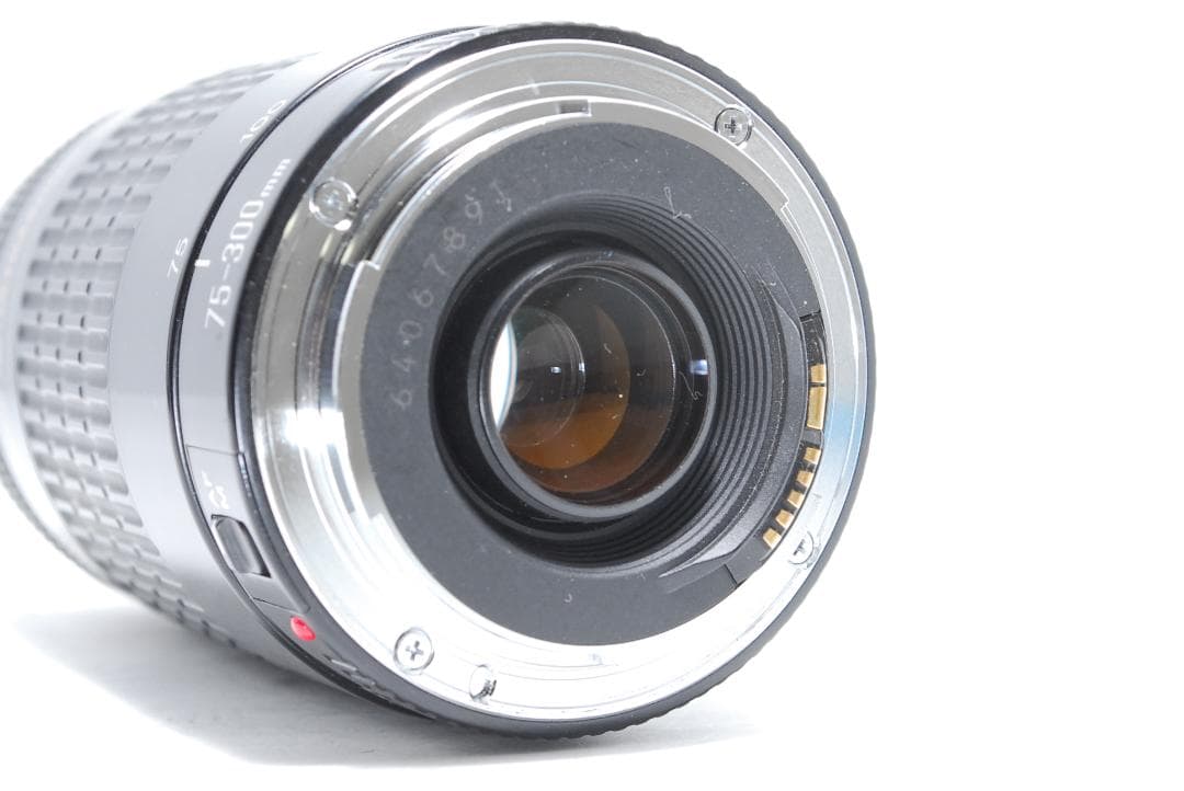 【作例あり】Canon EF 75-300mm 動作良好 軽量で扱いやすい