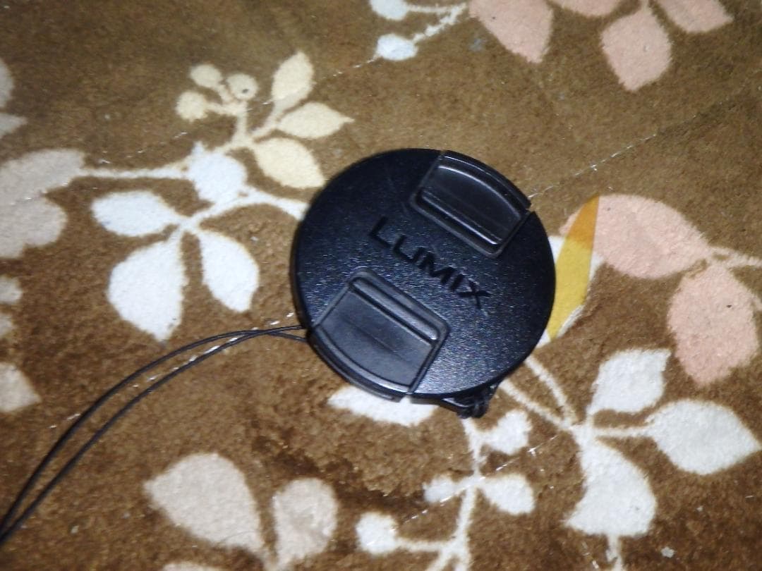 動作品 PANASONIC DMC-FZ100 LUMIX デジタルカメラ