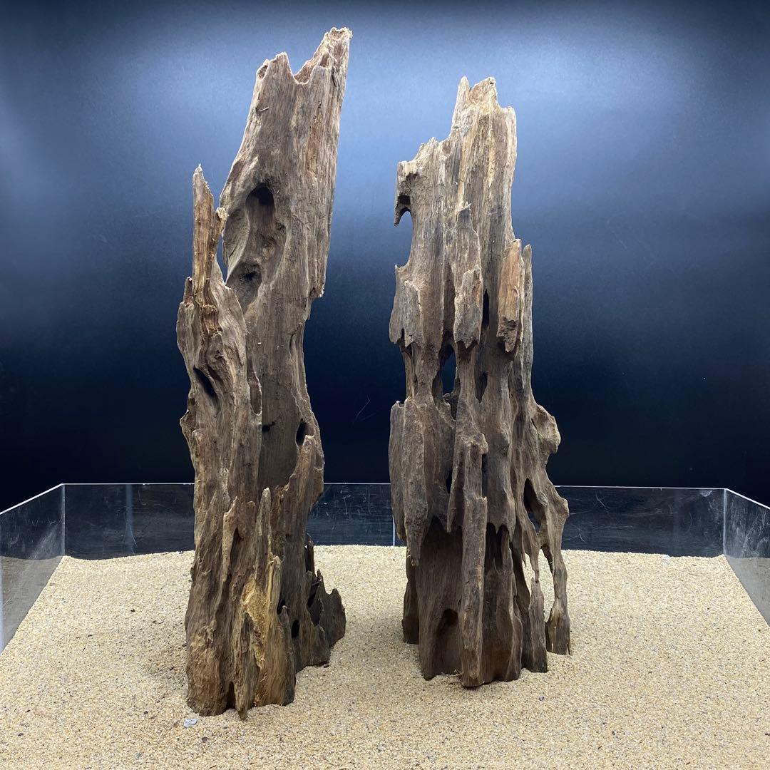 MMW-6402 自立マシンガンウッド2本セット　流木　アクアリウム