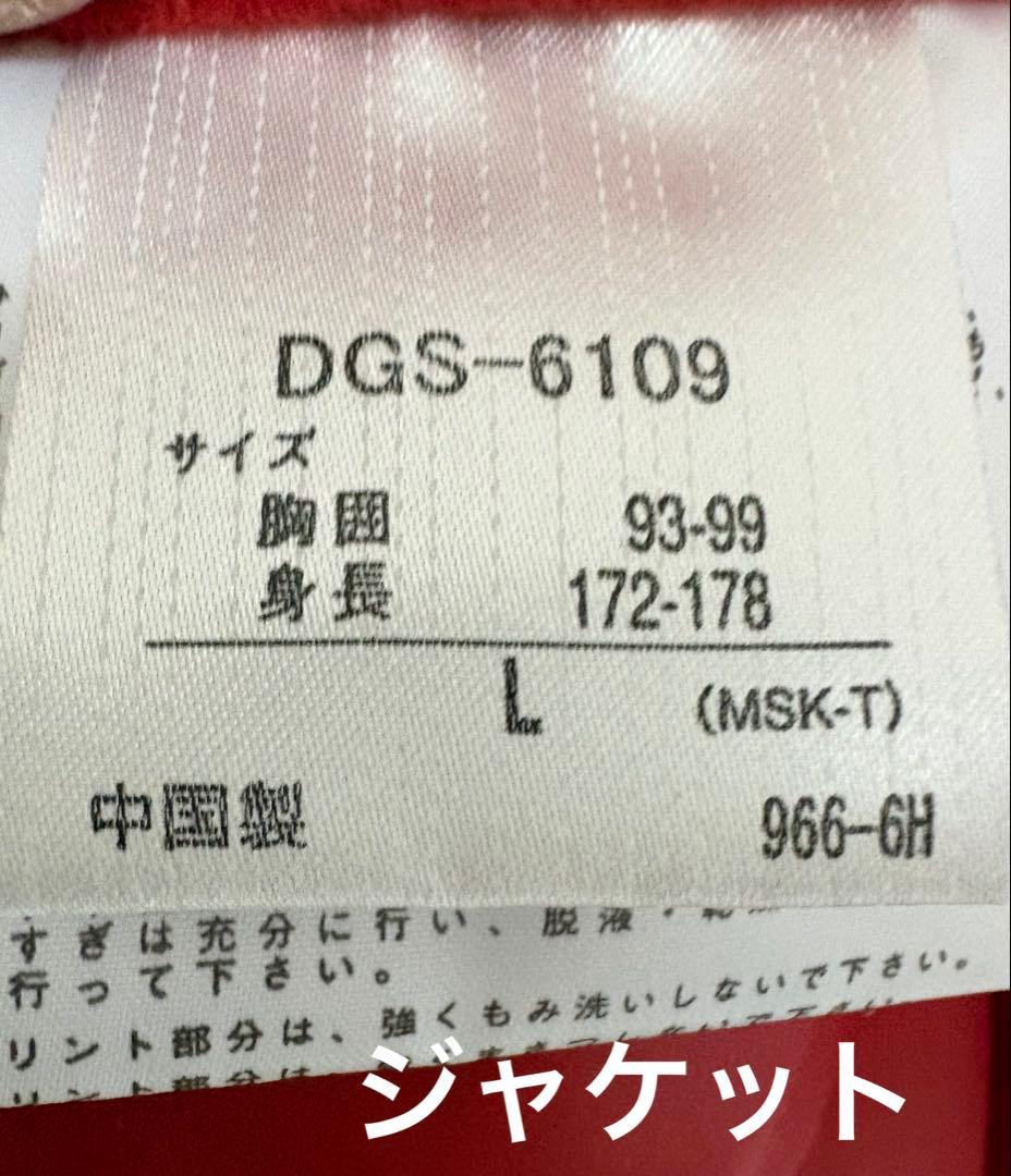 デサントDESCENT スキーウェア　スノボウェア<ダウンジャケット>メンズ　L