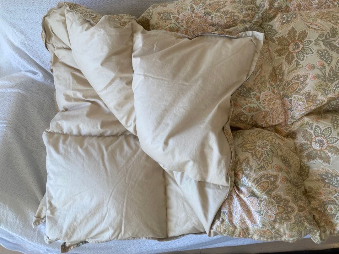 【美品】東京西川　ゴールデンナイト　羽毛掛け布団　シングル