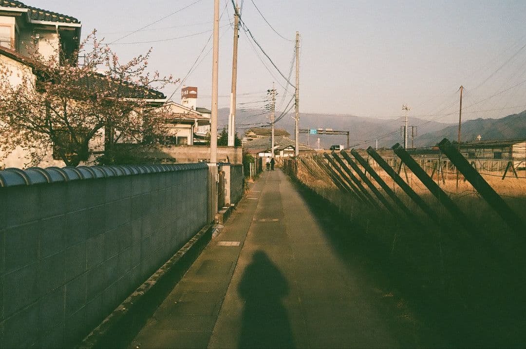 PENTAX MX フィルム一眼レフシルバー M50mm F1.4作例あり