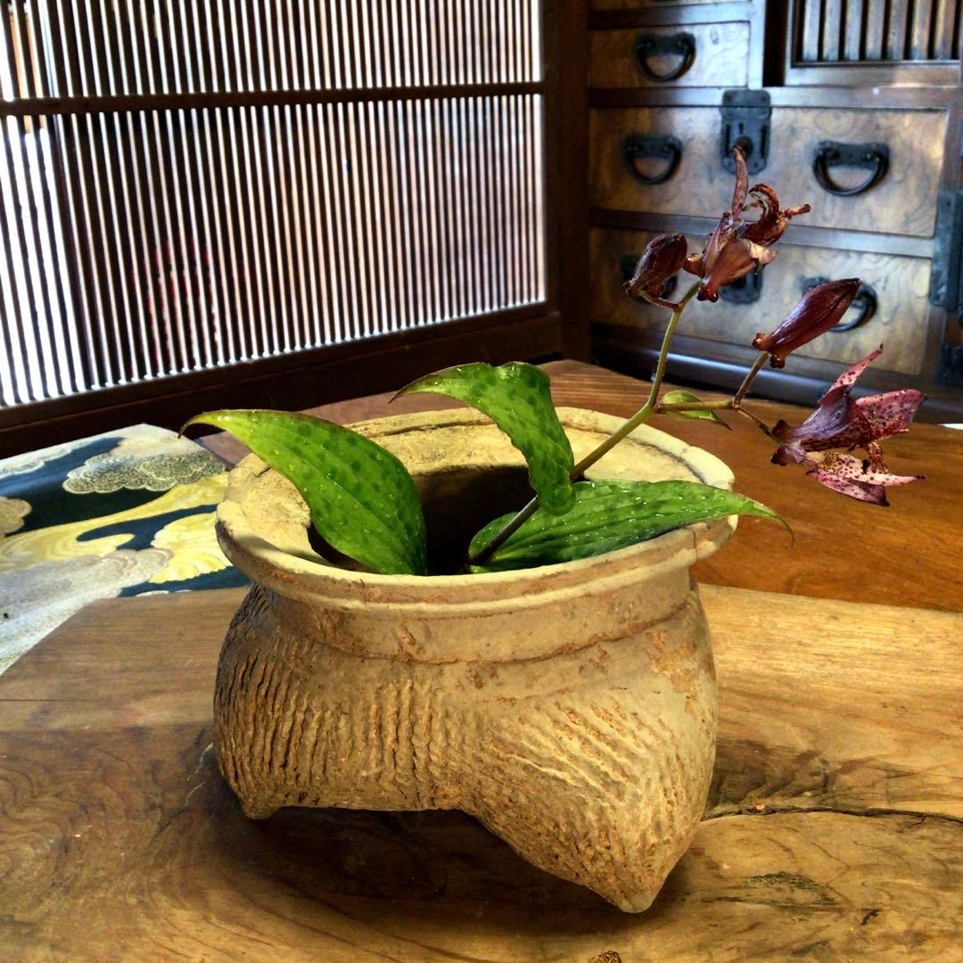 A637 中国　考古学　発掘品　西周灰釉鬲（はいゆうれき）　1基