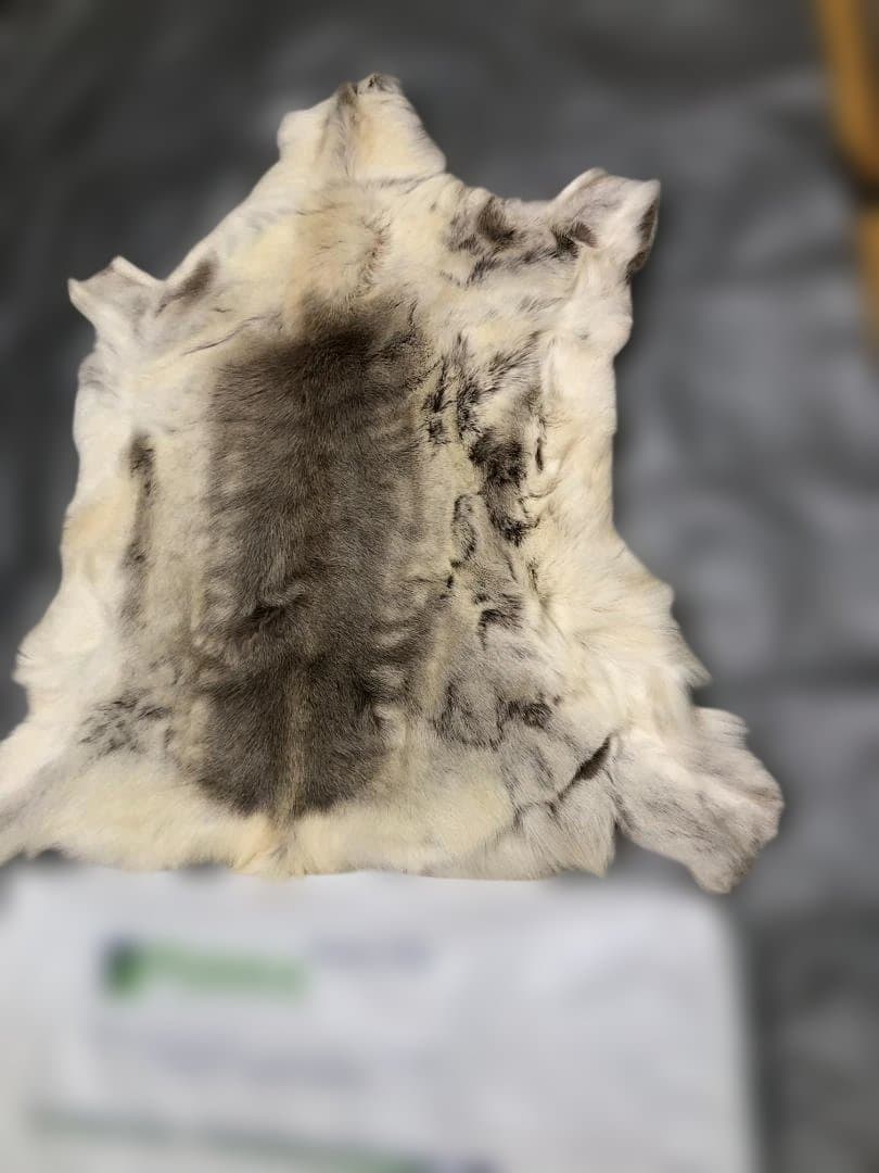 送料無料 POKKA トナカイ ムートン 天然本革 高級毛皮 251113