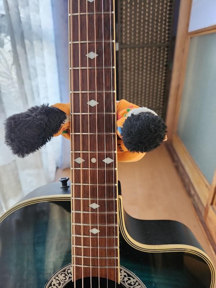 ARIA エレアコ AMB-35BLS 中古