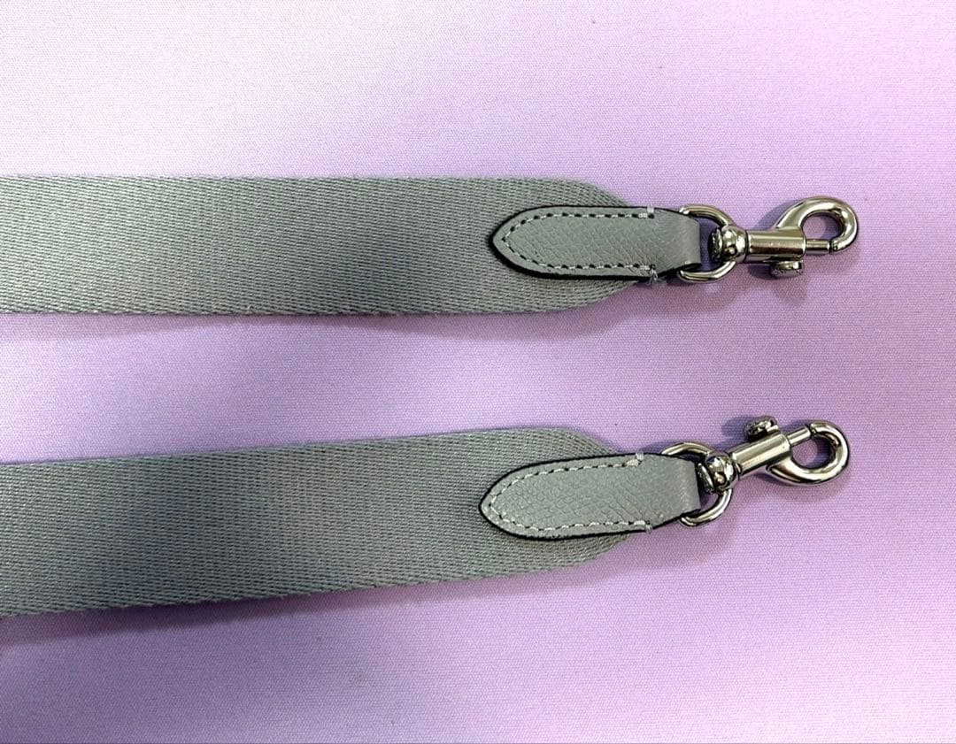 ちあきちゃん化COACH フォーン クロスボディグレーブルー