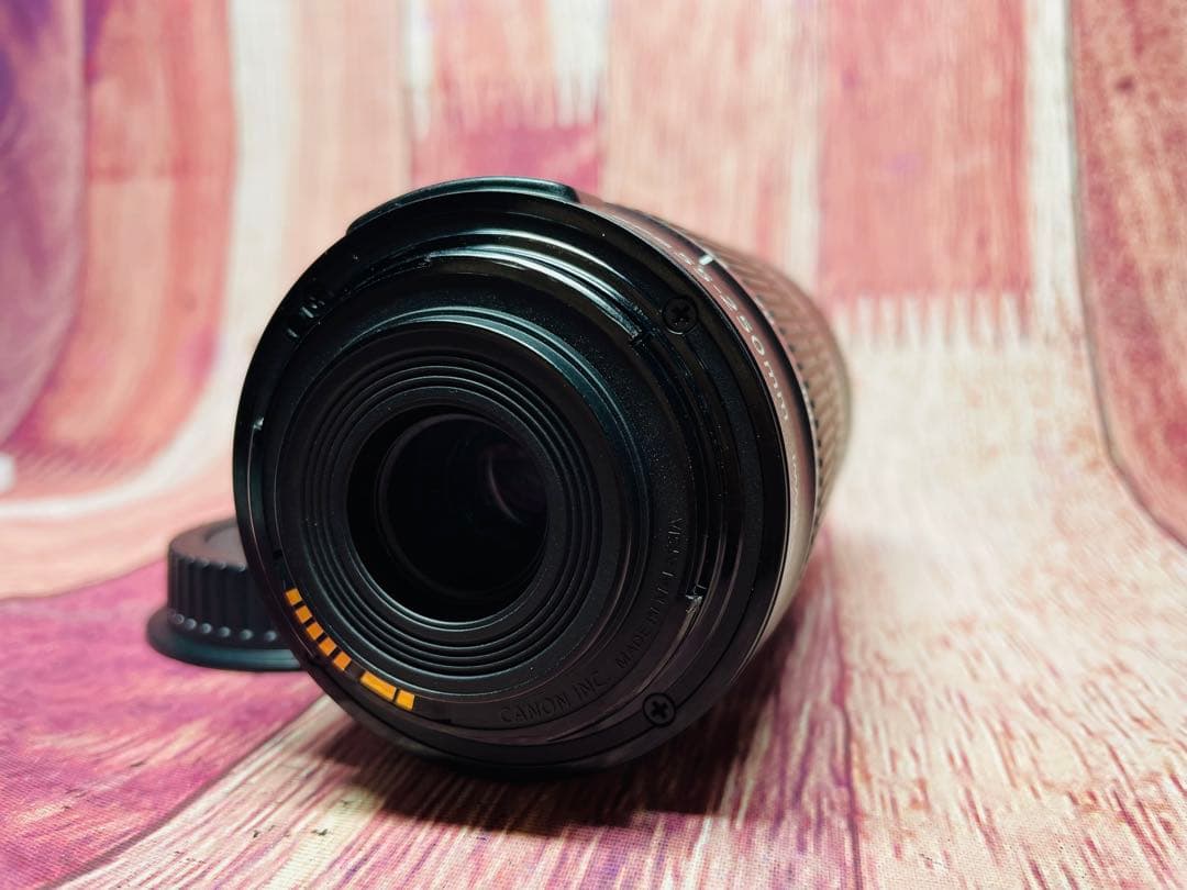 CANON キャノン EF-S 55-250mm 1:4-5.6 IS STM