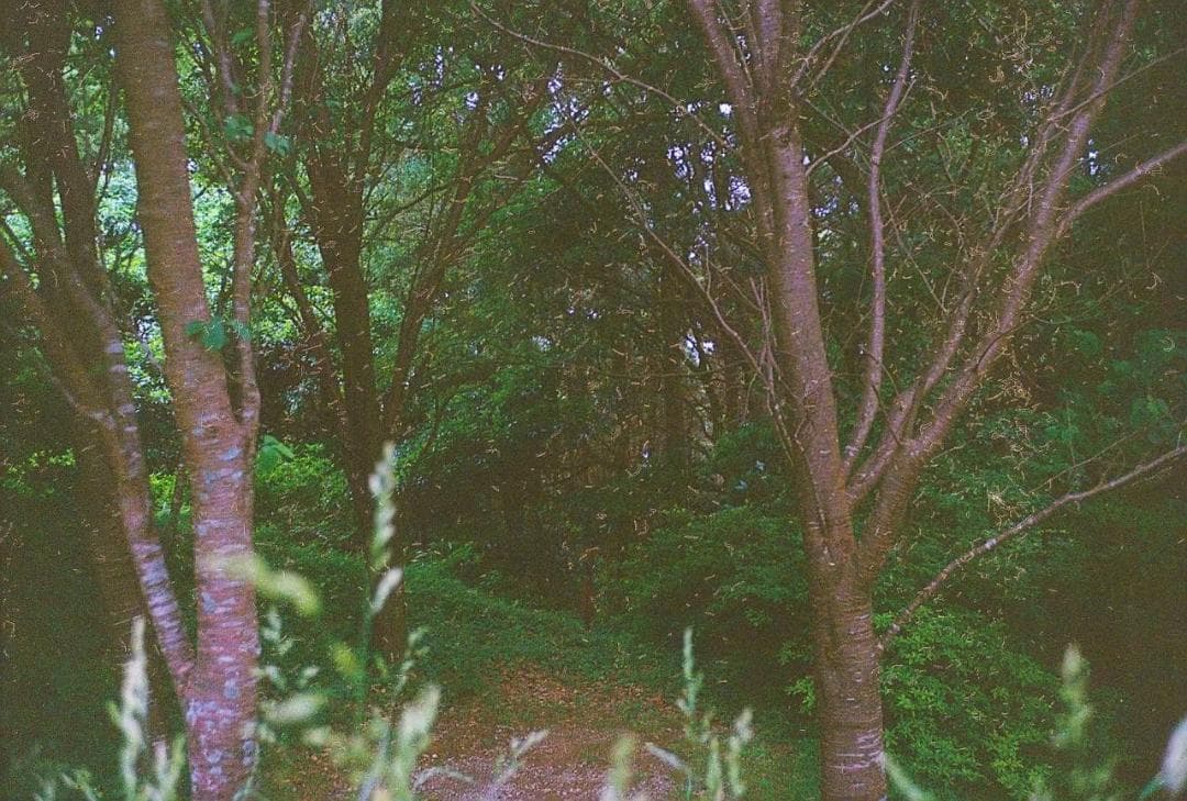 【試写あり】Rolle 35 レンジファインダー ドイツ製