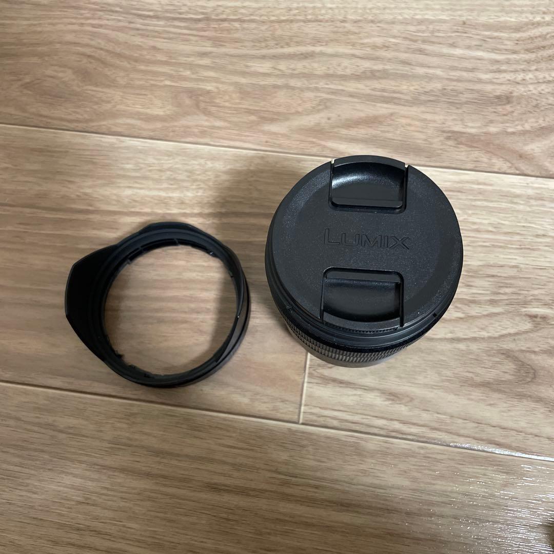 LUMIX DC-S1 20-60mmレンズキット【シャッター5.3万回】