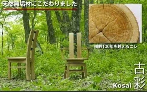 ダイニングチェア　古彩　コサイ