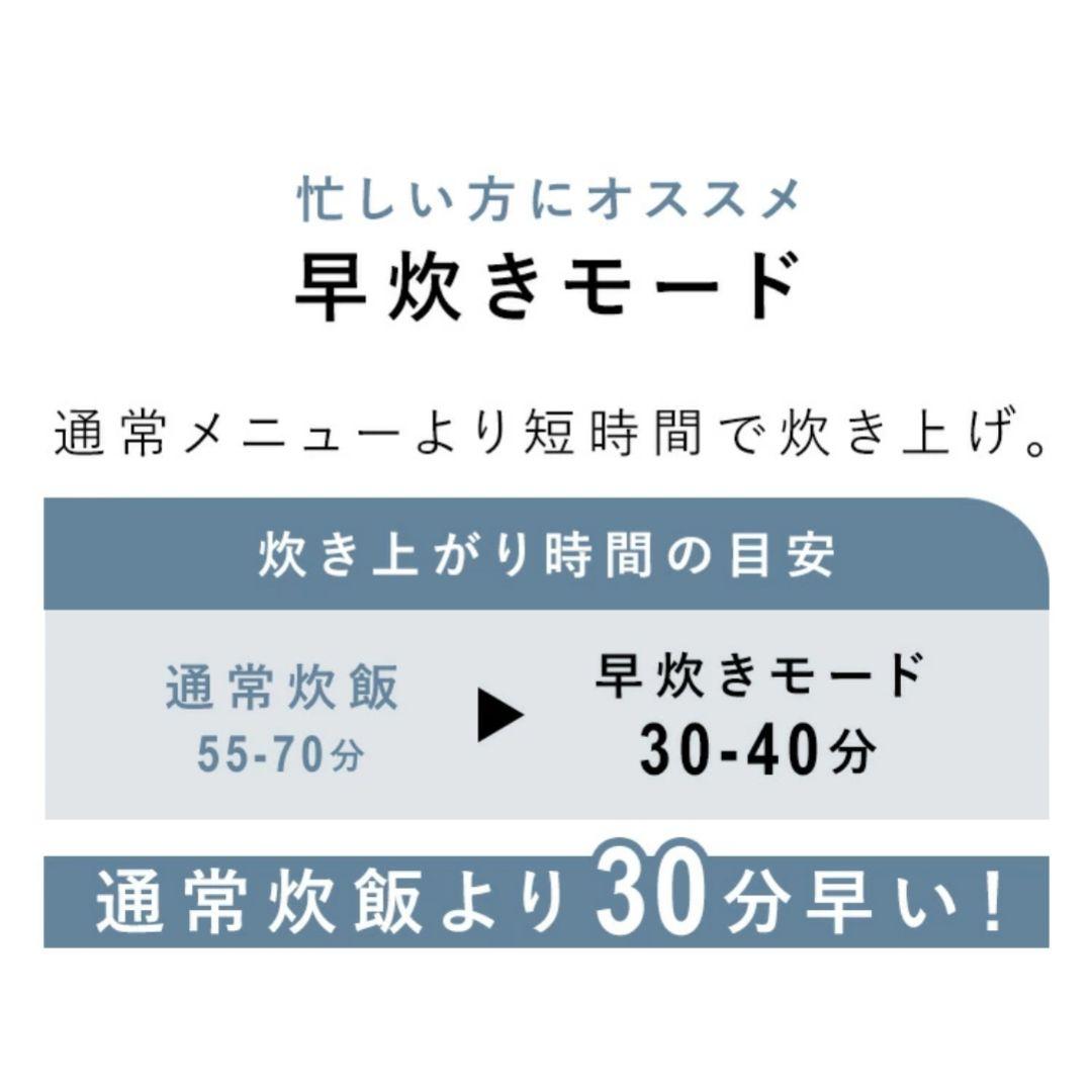 アイリスオーヤマ 炊飯器 5.5合 マイコン式 ブラック