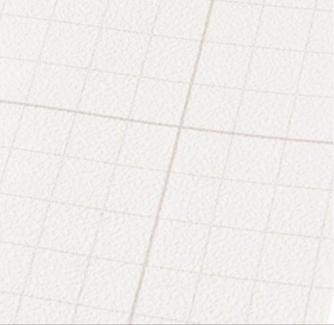 新品　Francfranc ANNASUI ウォールペーパー4本 壁紙 アナスイ