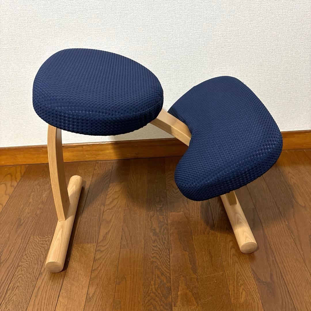 【極美品】balans Easy バランスイージー 通常フレーム オプション付き