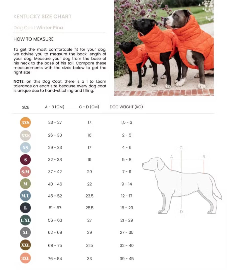 Kentucky Dogwear 未使用 コート ダウン 中綿入り