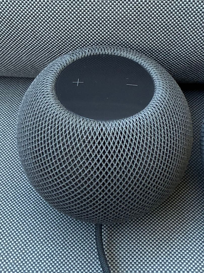 Apple Pod mini 2個セット（黒）