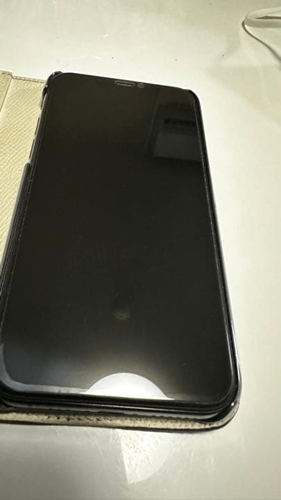 iPad本体 iPhone11Pro