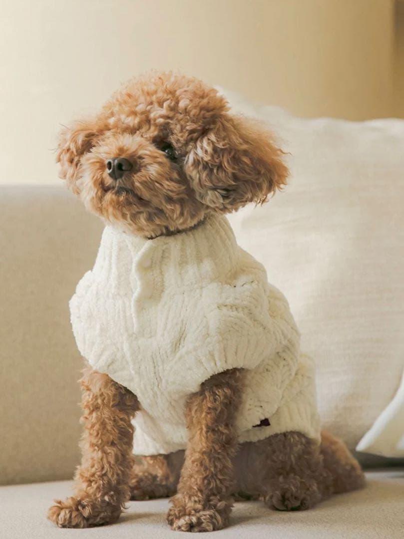 ジェラートピケ ハートアランハイネックプルオーバー L