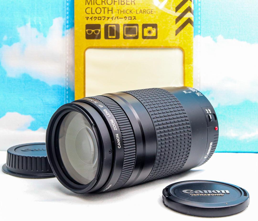 キャノン Canon EF 75-300mm⭐️想い出の瞬間！⭐️超望遠レンズ