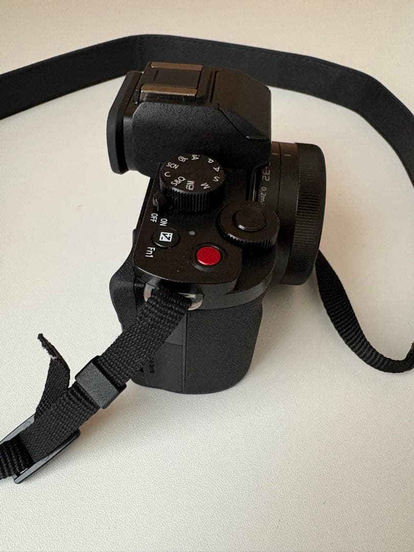 2025年7月購入 保証書付きパナソニック lumix DC-G100DK-K