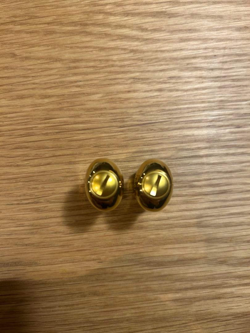 スクイッドマニア MAD CROW リブレ 新品