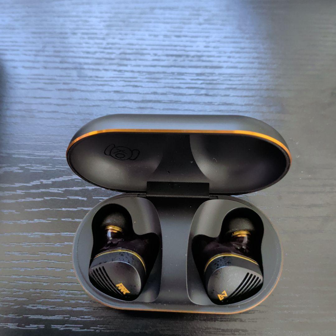 【中野ピエールモデル】AVIOT TE-Z1PNK 【ブラック】